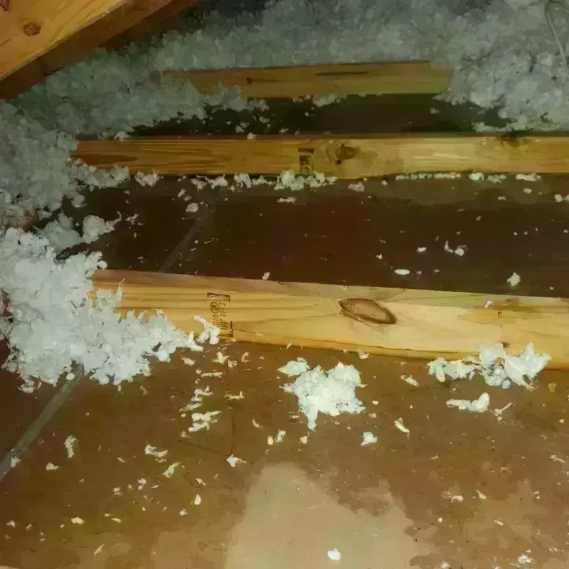 Attic Water Damage in Waverly, OH