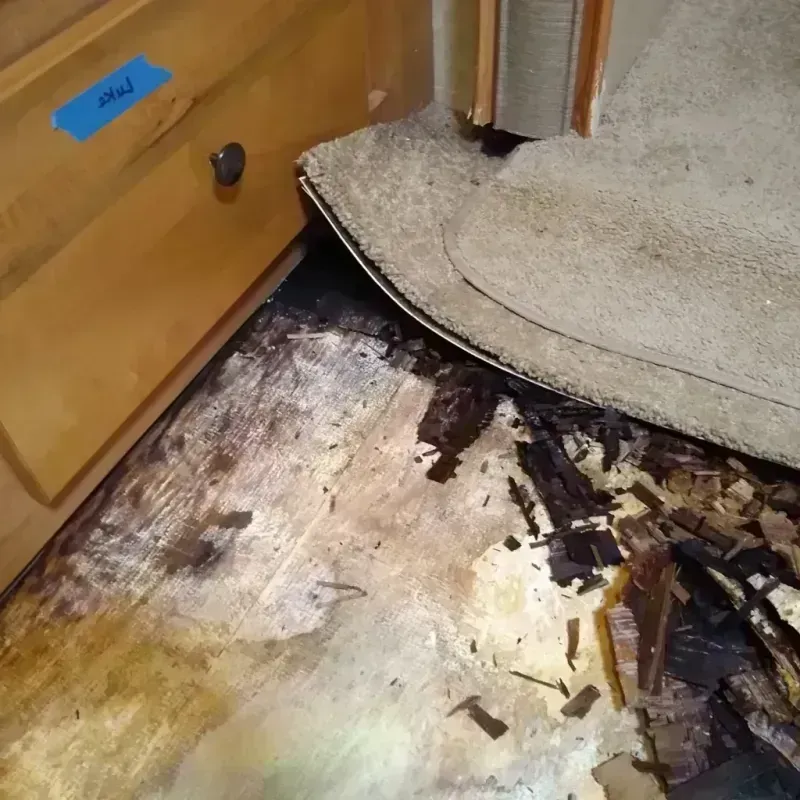 Wood Floor Water Damage in Waverly, OH